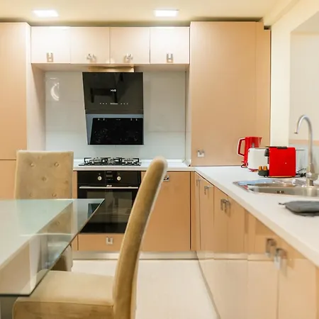Luxurious With Swimming Pool - Herastrau Park